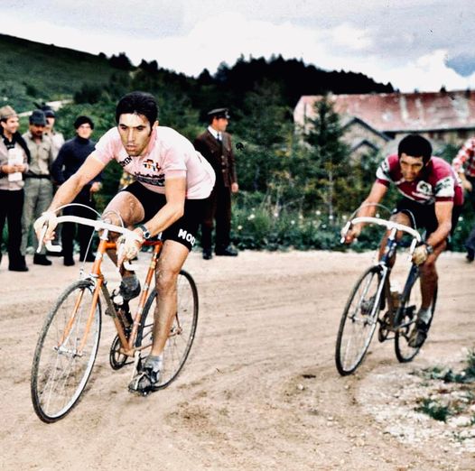 Molteni Cycling Kit Pink Giro D'ITALIA 1973